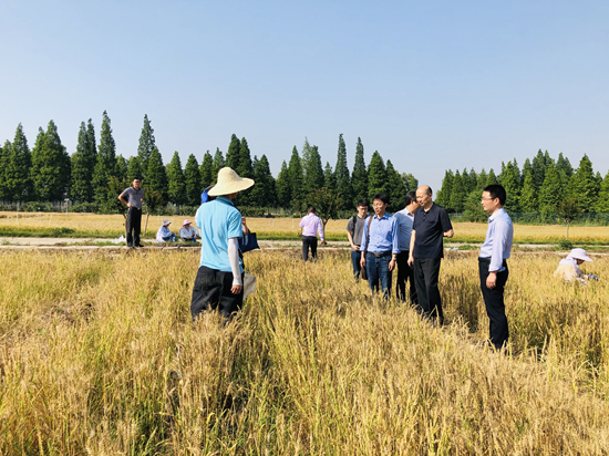 1569465598346190.jpg 62076DD805973C13A0F8C77A1F4_54A64CF8_5A400.jpg